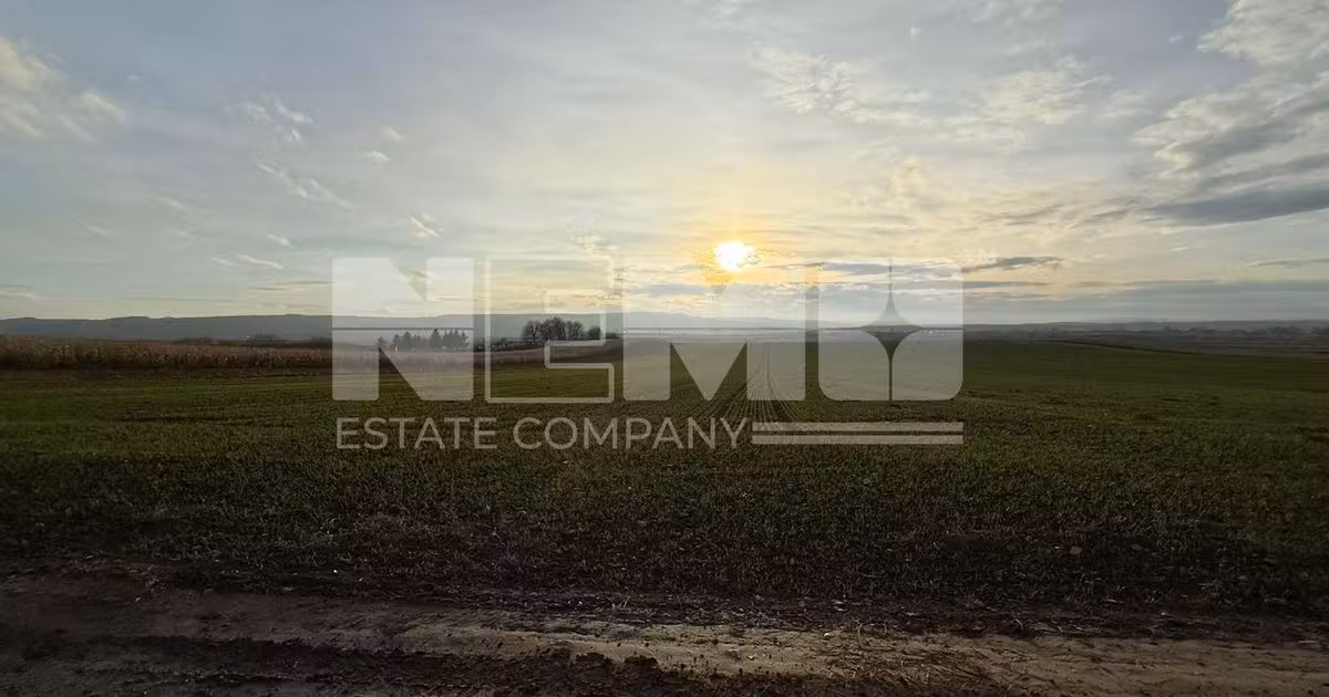 Teren agricol extravilan de vânzare de 124000000000 mp, în Grănicești