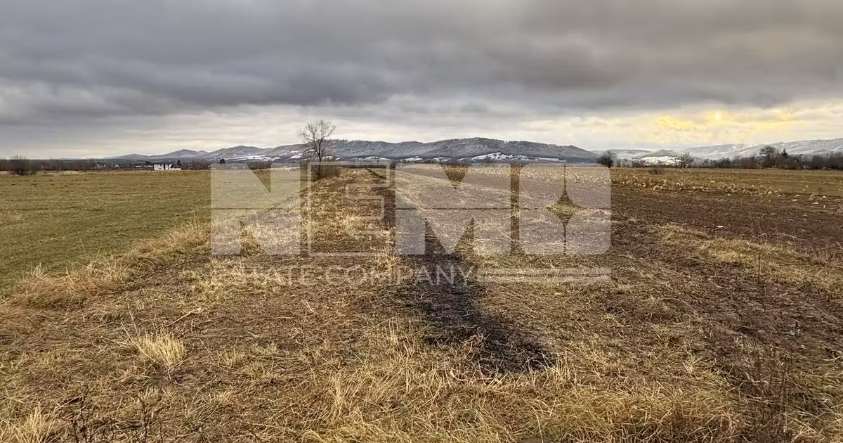 Teren agricol extravilan de vânzare de 8000 mp, în Vicovu de Sus