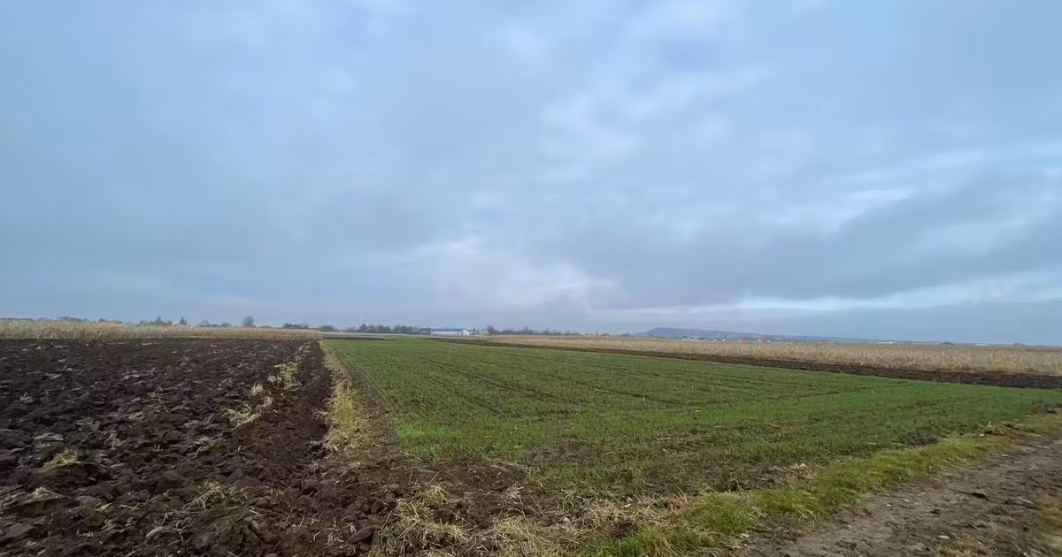 Teren agricol extravilan de vânzare de 1300 mp, în Marginea