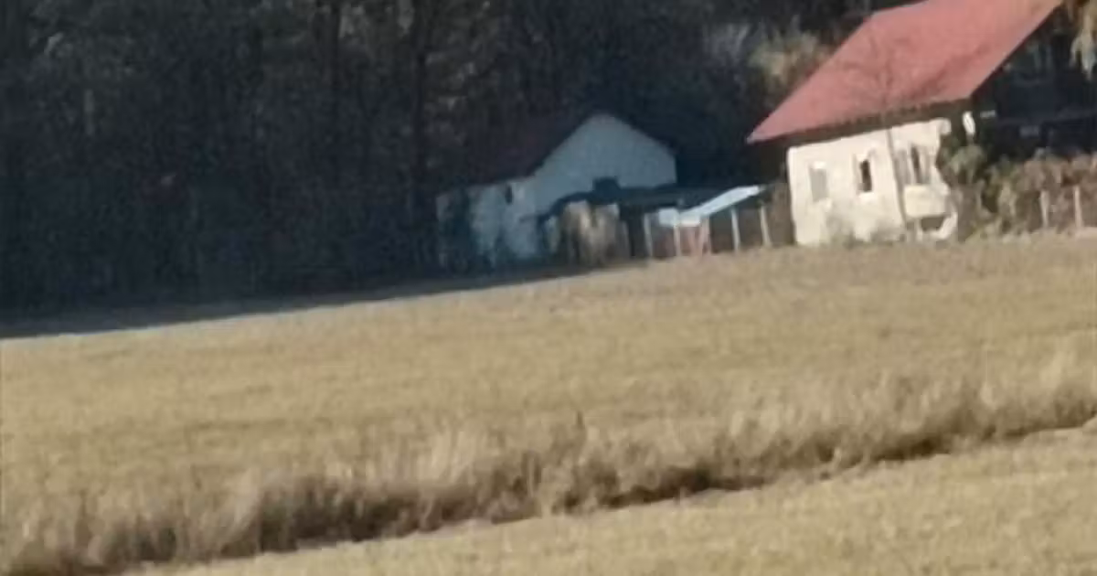 Teren agricol extravilan de vânzare de 4000 mp, în Dragomirna