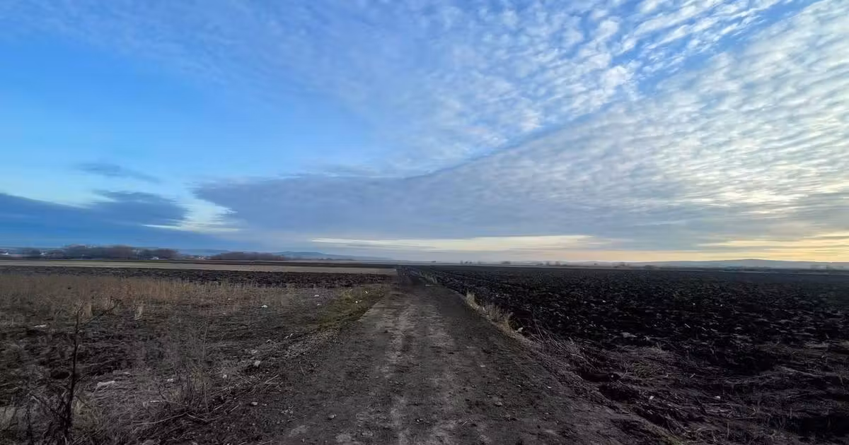 Teren agricol extravilan de vânzare de 8200 mp, în Rădăuți