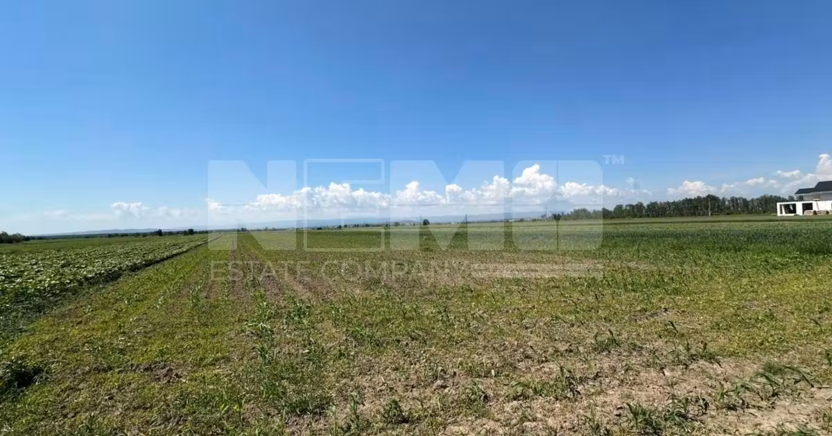 Teren agricol extravilan de vânzare de 5300 mp, în Frătăuții Vechi