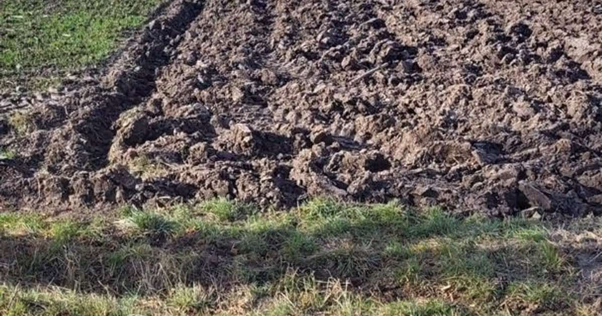 Teren agricol extravilan de vânzare de 3678 mp, în Mitocu Dragomirnei