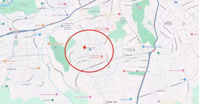 Apartament Zorilor