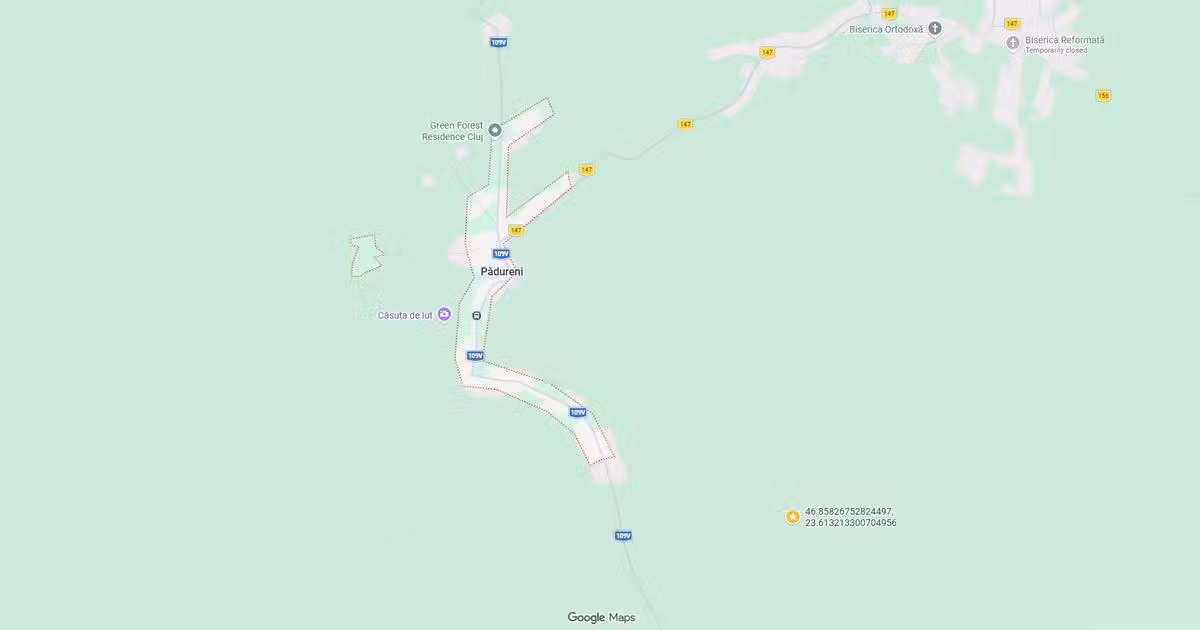 Teren Construcții intravilan de vânzare de 5800 mp, în Pădureni (Chinteni)