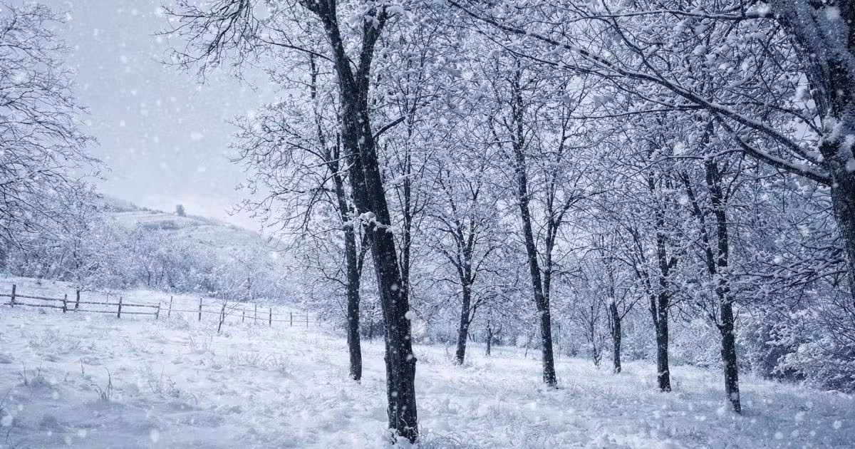Teren Construcții intravilan de vânzare de 3000 mp, în Tiocu de Jos