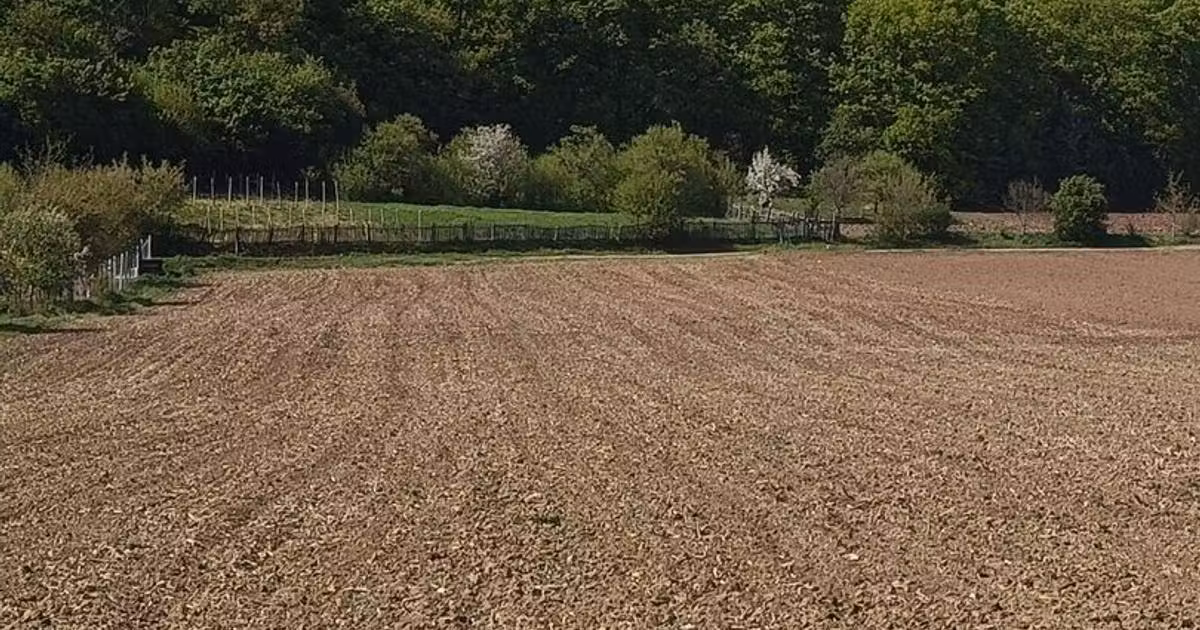 Teren agricol intravilan de vânzare de 1600 mp, în Ampoița