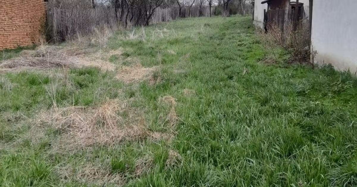 Teren Construcții intravilan de vânzare de 2360 mp, în Vaidei