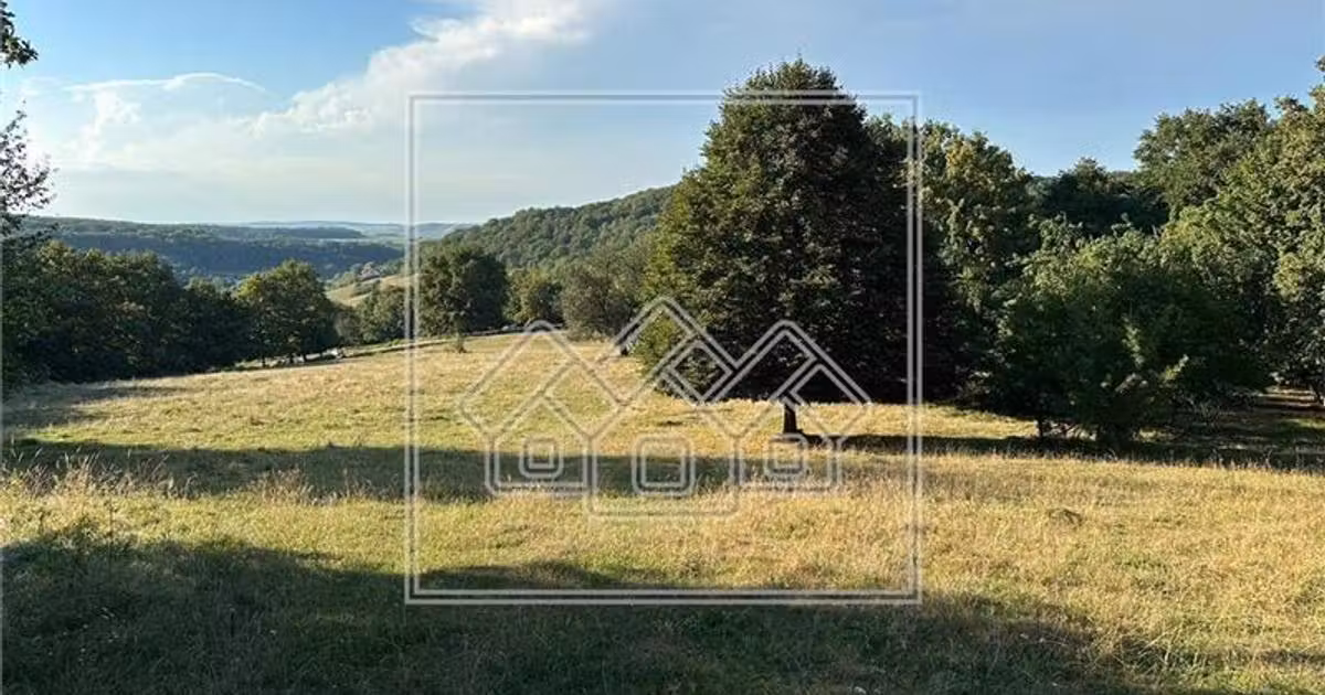 Teren agricol extravilan de vânzare de 18000 mp, în Șura Mare