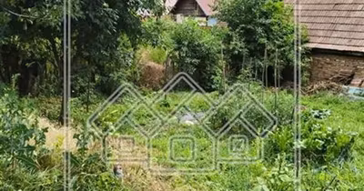 Teren Turnișor