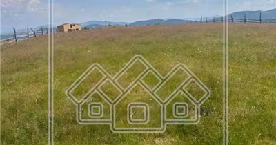 Teren Turnișor