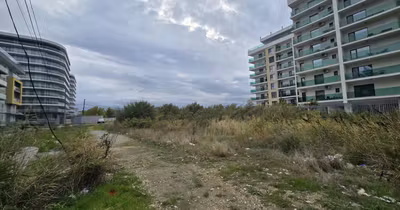 Teren Mamaia