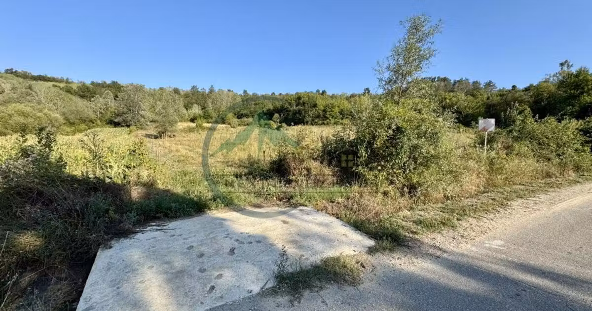 Teren agricol extravilan de vânzare de 33290 mp, în Lupșa de Sus