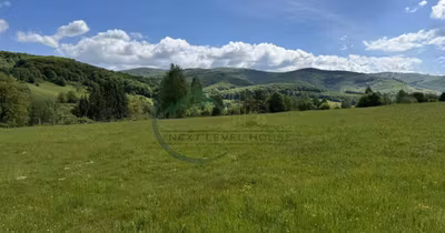 Teren Valea Dobârlăului