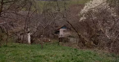 Teren Dâmbu Pietros