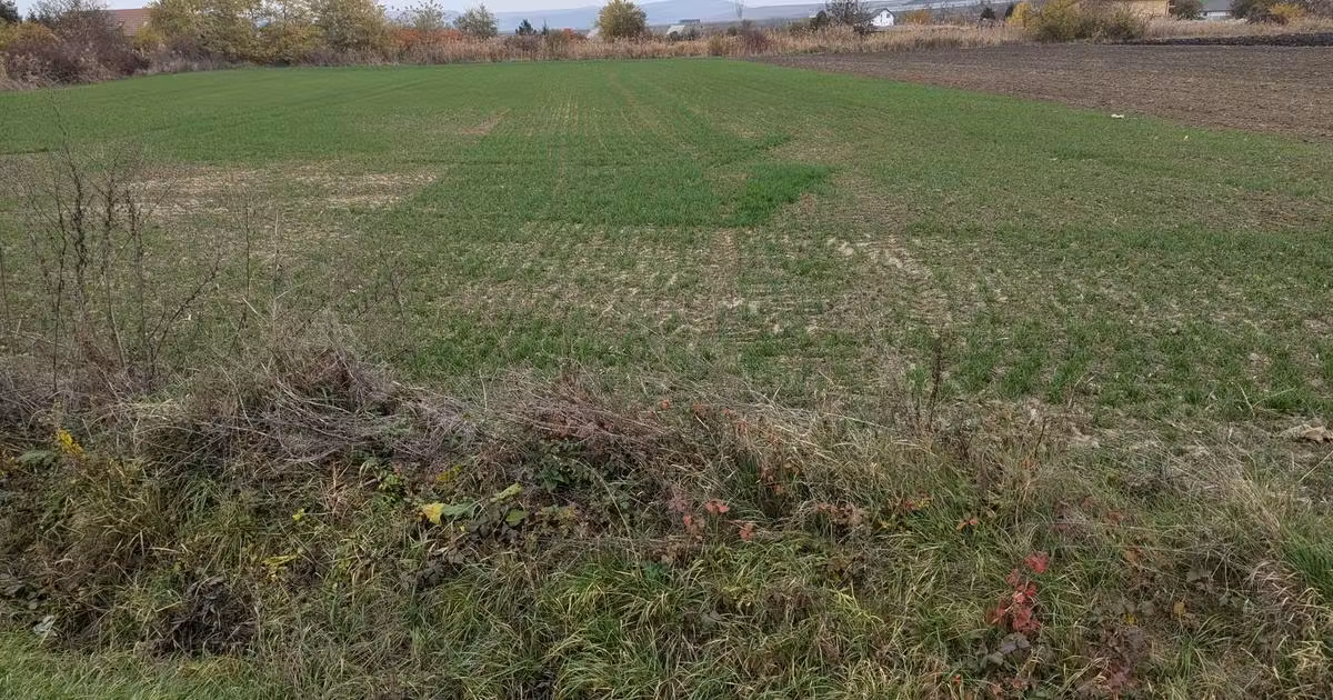 Teren Construcții intravilan de vânzare de 5800 mp, în Ungheni
