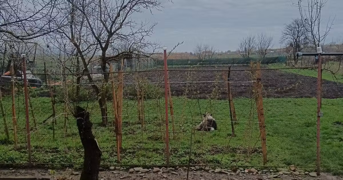 Casă individuală de vânzare cu 2 camere în Gornești