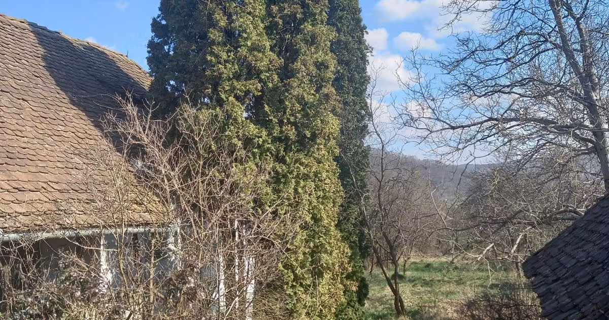 Casă individuală de vânzare cu 2 camere în Trei Sate