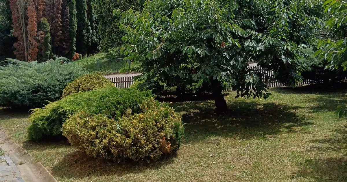 Casă de vânzare cu 3 camere în Sâncraiu de Mureș