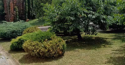 Casă Sâncraiu de Mureș