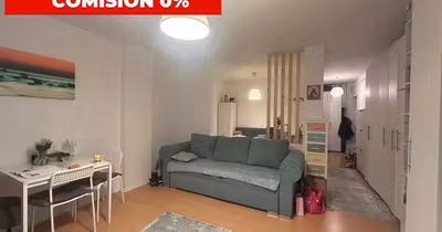 Garsonieră Turnișor