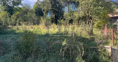 Teren Bună Ziua
