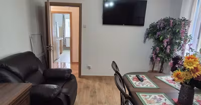 Apartament Vasile Aaron