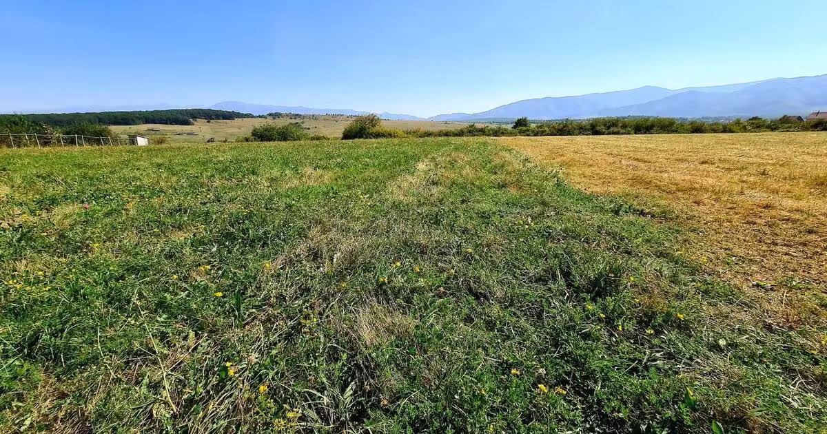 Teren Construcții intravilan de vânzare de 2325 mp, în zona Est, Sibiu