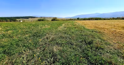 Teren Hipodrom