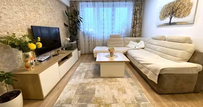 Apartament Vasile Aaron