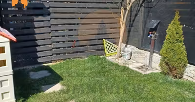 Apartament Schei