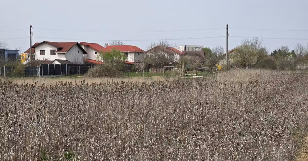 Teren Construcții intravilan de vânzare de 4783 mp, în Ciolpani