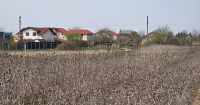 Teren Ciolpani