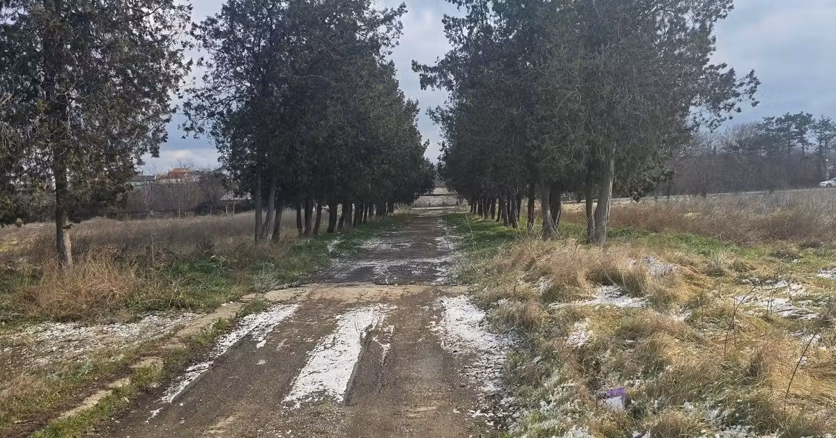 Teren Construcții intravilan de vânzare de 49284 mp, în Agigea