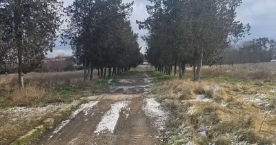 Teren Peninsulă