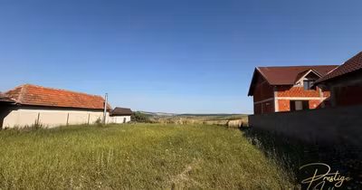 Teren Nufărul