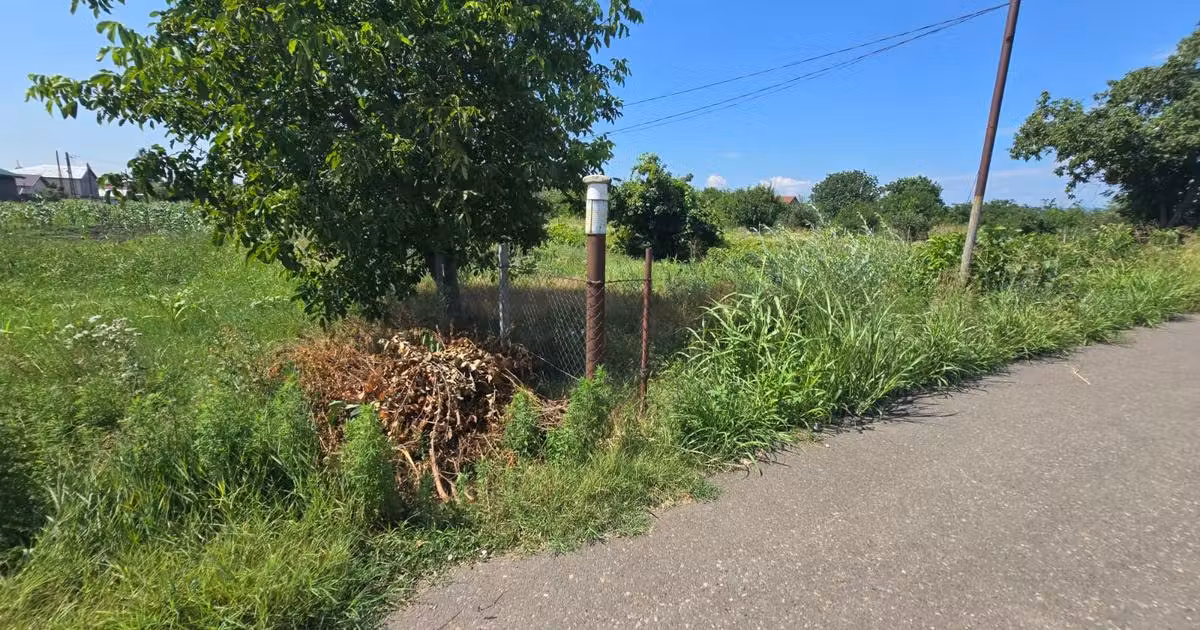 Teren intravilan de vânzare de 1000 mp, în Petrești