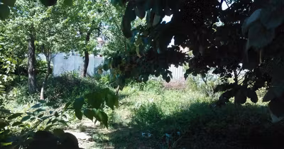 Teren Pădurișu