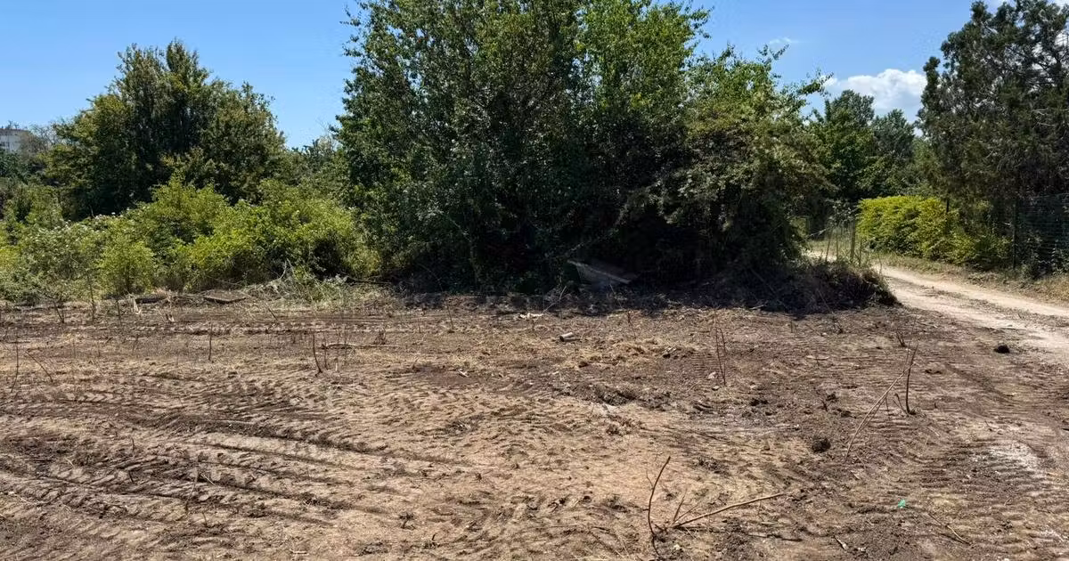 Teren Construcții intravilan de vânzare de 2800 mp, în Venus