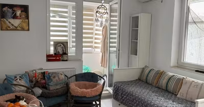 Apartament Dristor