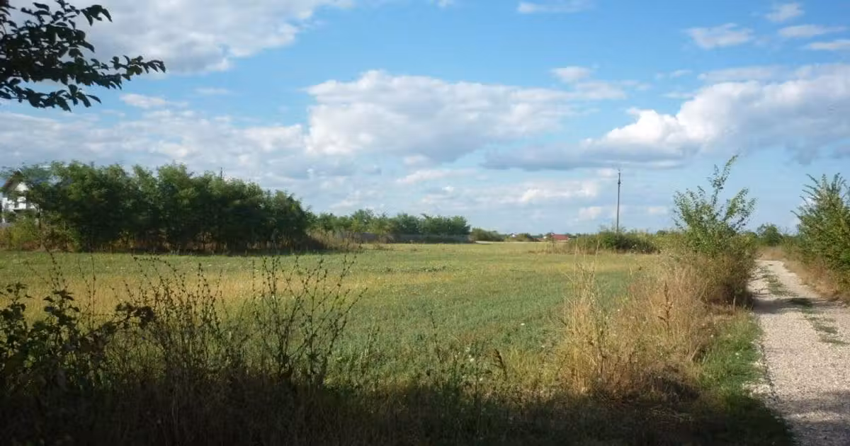 Teren Construcții intravilan de vânzare de 5000 mp, în Periș
