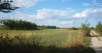 Teren Periș