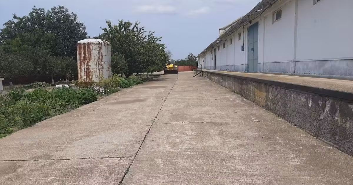 Spațiu comercial de vânzare 2632 mp în Independența
