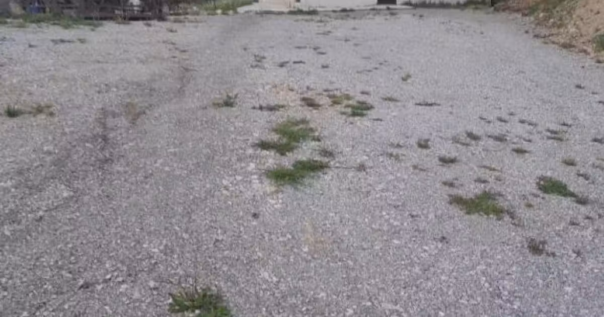 Hotel/Pensiune de vânzare 160 mp în Ciocănești