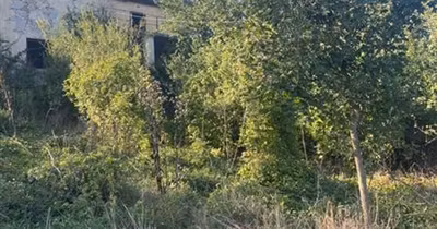 Casă Est