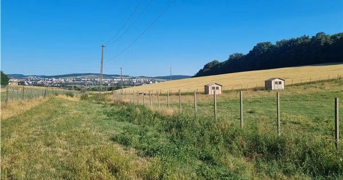 Teren intravilan de vânzare de 31000 mp, în Sâncraiu de Mureș
