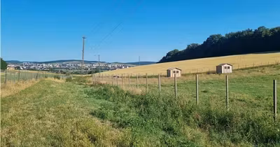 Teren Sâncraiu de Mureș