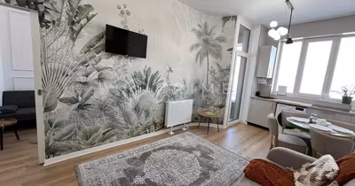 Apartament Tudor