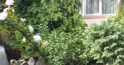 Casă Dămăroaia
