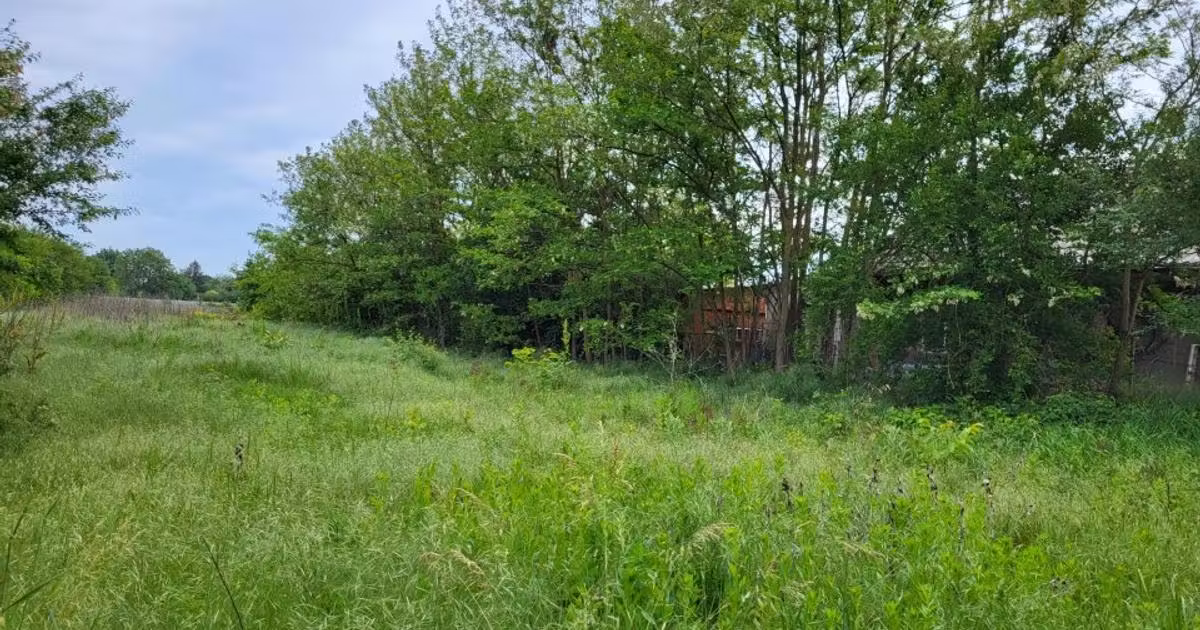 Teren Construcții intravilan de vânzare de 3717 mp, în Snagov